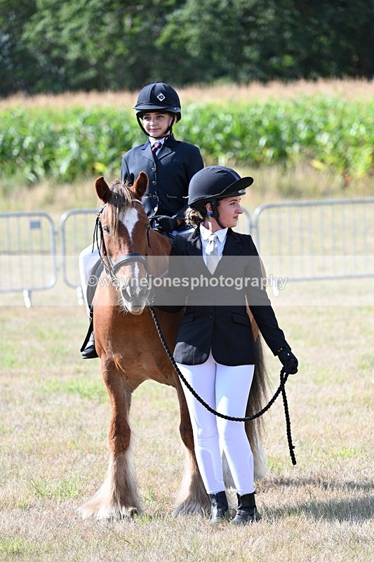 WJ7_2743 - Class 8 Ridden Tack & Turnout