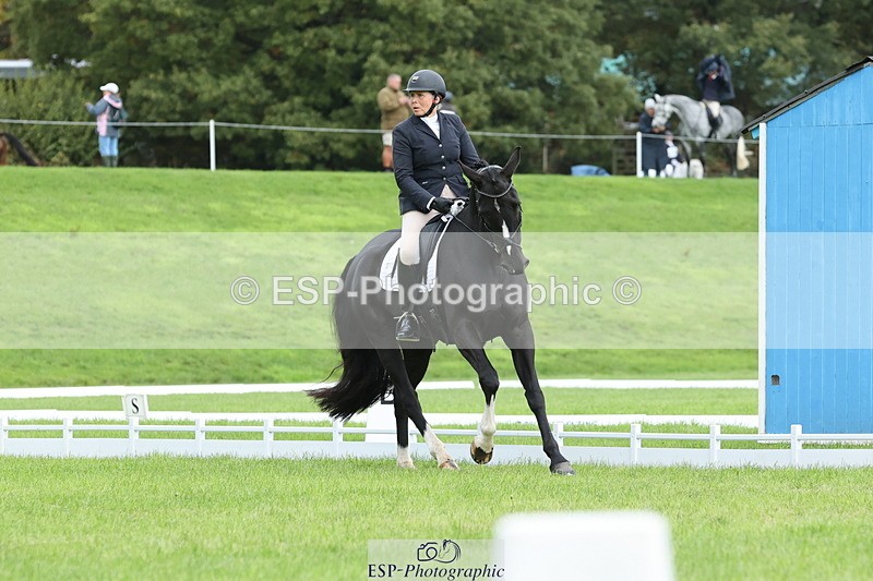 251023A-114017-03388 - D-315-Georgina.Marks