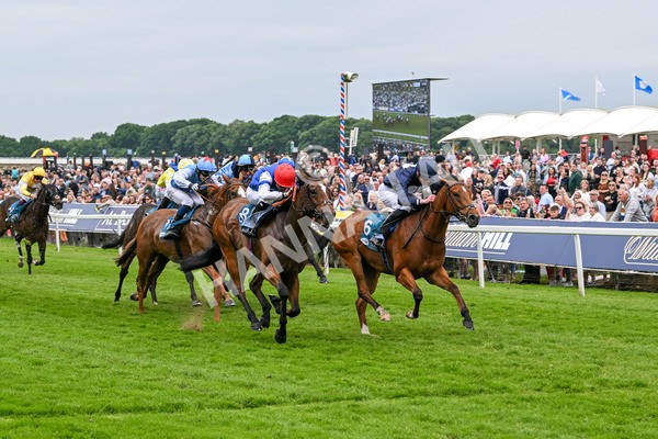 250524-Race 1-Tiriac-2686 - Race 1 1.35pm William Hill Keep Your Raceday Positive Handicap