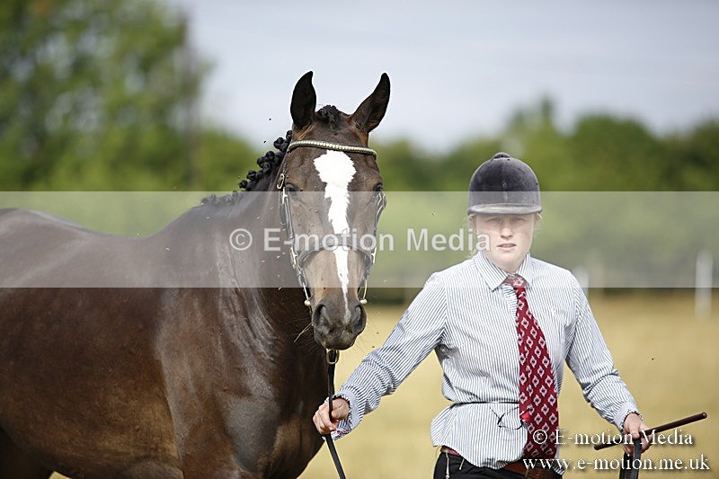 _C7A9141 - BVRC Sow 2018 Ring 2