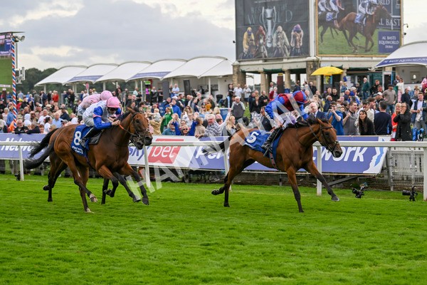220824-Race 4-Content-7404 - Race 4 3.35pm Pertemps Network Yorkshire Oaks