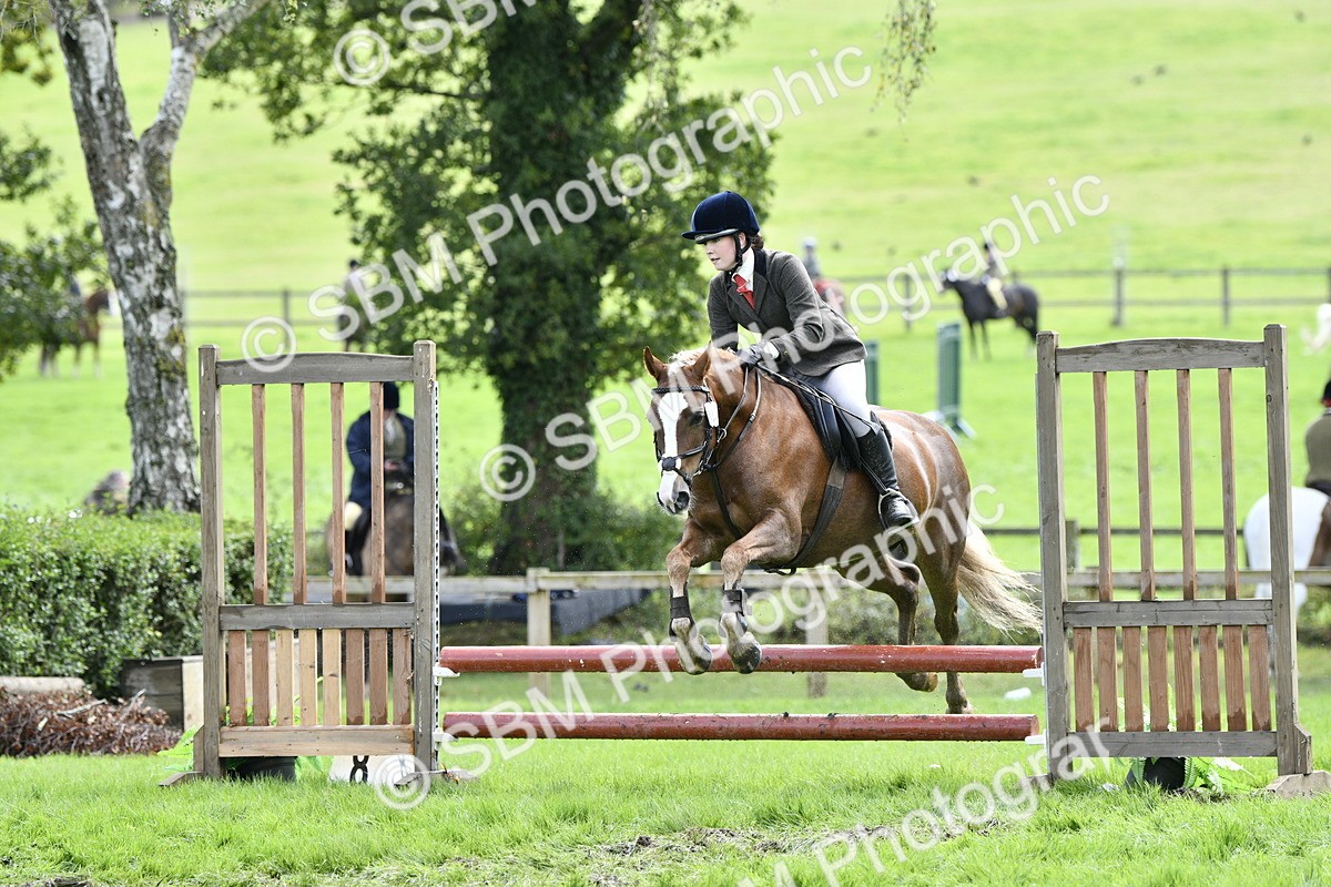 SBM_45649 - S33 - Working Hunter Pony