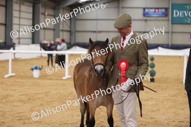 20260913-1297 - Class 113 - Yearling