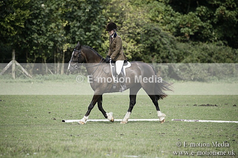 BVR090918 253 - BVRC Dressage and Show Jumping 09/09/18