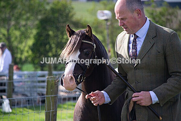 DSC_0079 - Ring 1