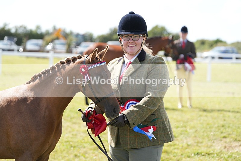 DSC07516 - Pony Breeding Championship