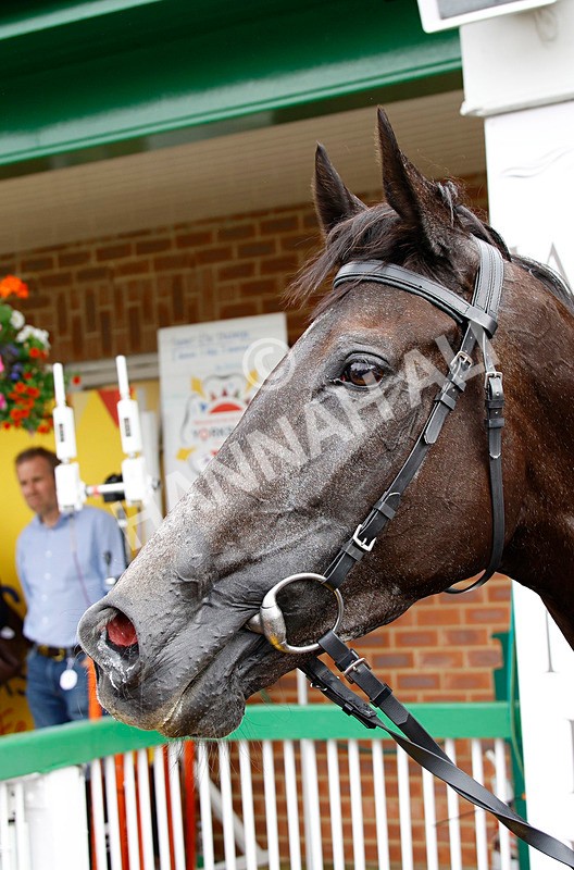 250725-Race 5-Idyllic-88797 - Race 5