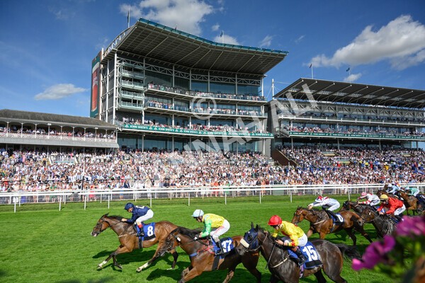 yr09072022r7-23 - Race 7 5.15pm John Smith's Sprint Stakes