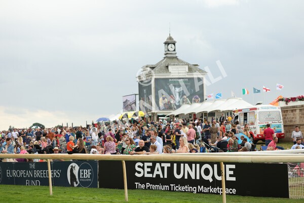 yr04092022r5-23 - Race 5 4.05pm Little Green Rascals Children's Nurseries Stakes