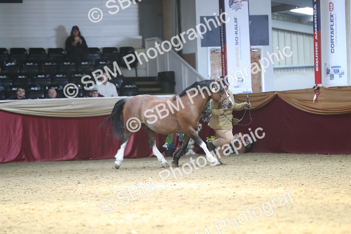 SBM_15213 - Class 501 M&M IH Supreme Final