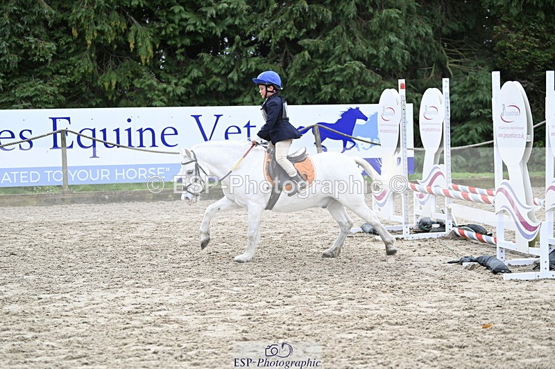 251005A-120812-03621 - Cls 08 Mini 70-75cm