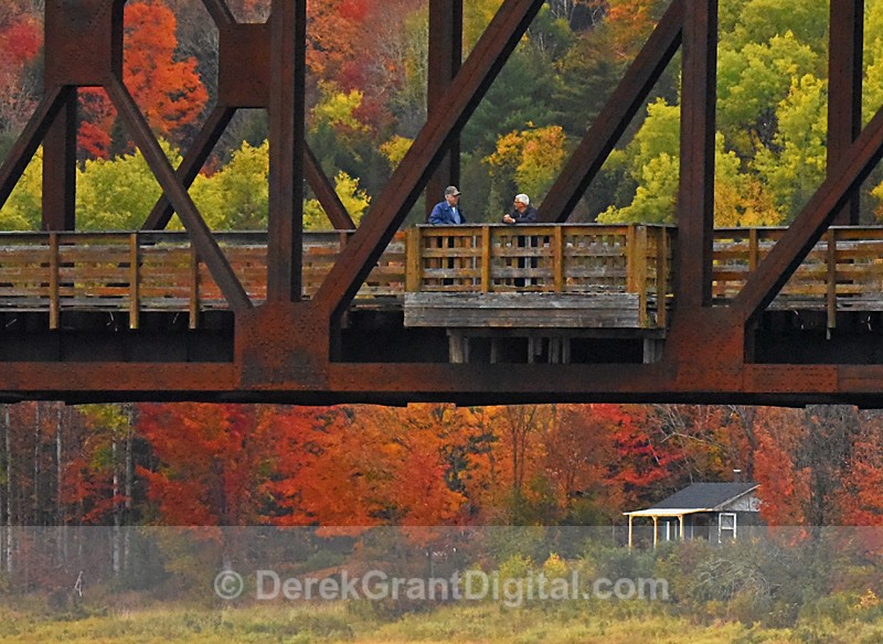 The Conversation - Autumn Foliage New Brunswick Canada