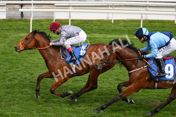 yr13052021r6-37 - Race 6 4.15pm Constant Security EBFstallions.com Maiden Stakes