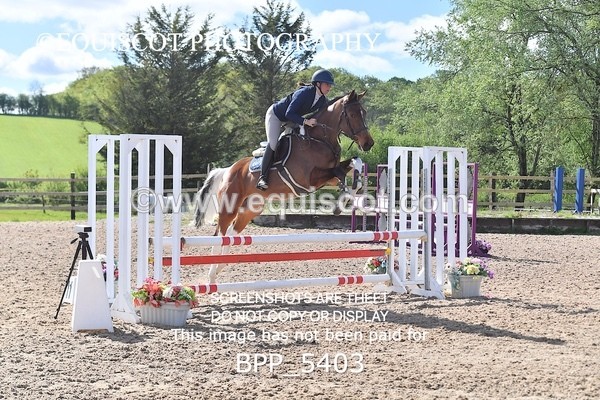 BPP_5403 - CLASS 22 SUN Club/ Unaffiliated 80cms Open