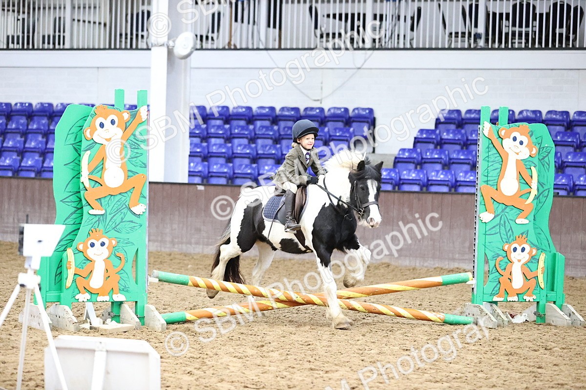 SBM_000173 - Class 2 - The Rug Lady 40cm Area 12 Championship Qualifier