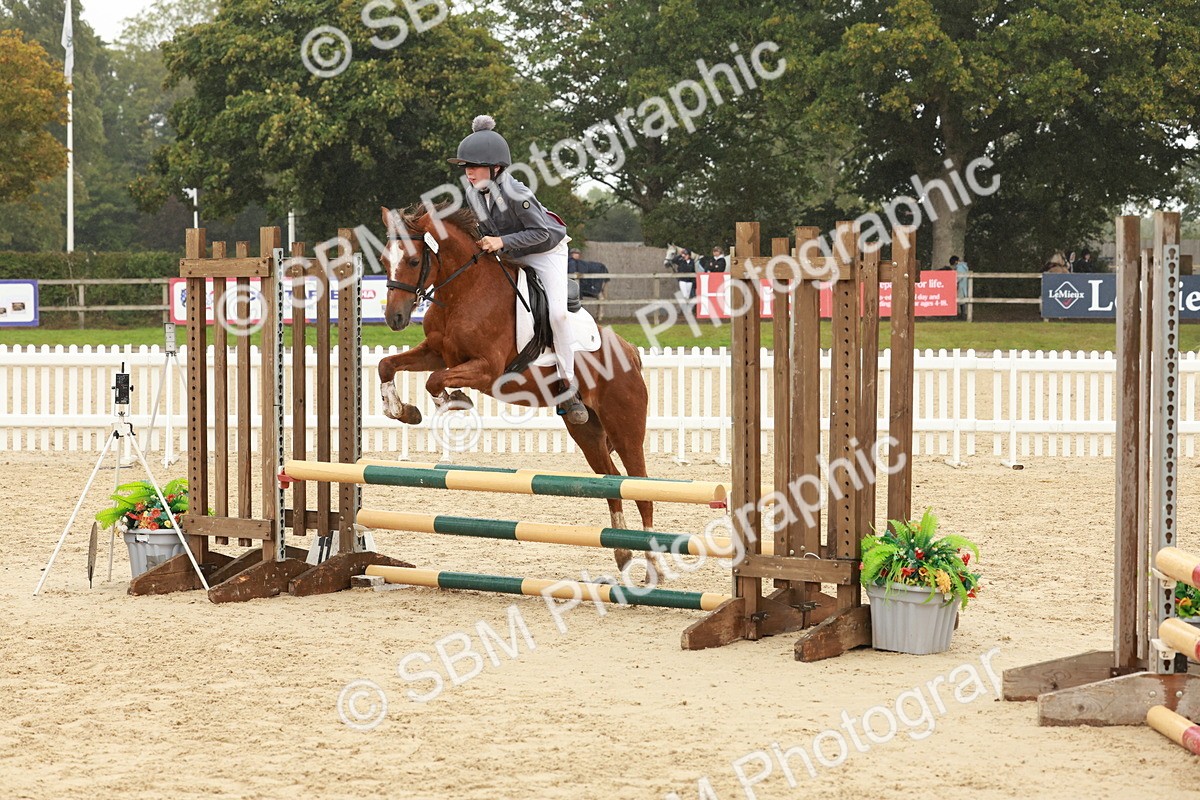 SBM_71177 - J14 - Junior Pony 65cm Championship