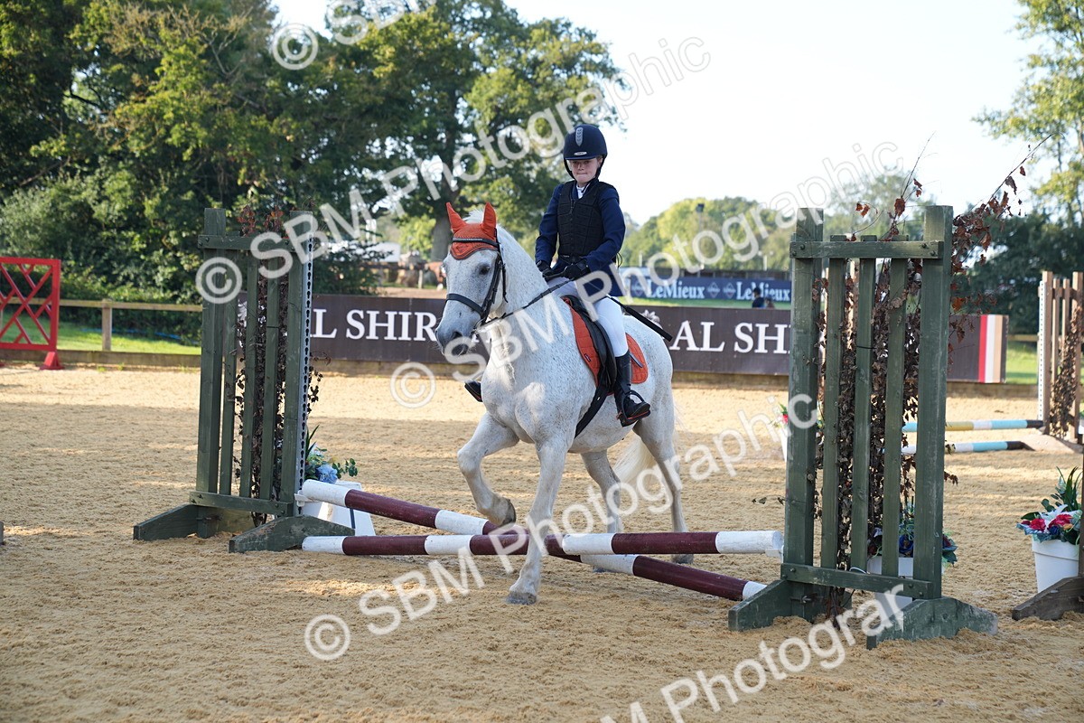 SBM_59081 - J63 - Minis Clear Round 30cm 40cm