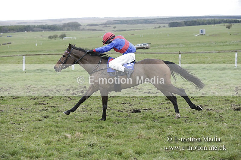 PtP 150320 0948 - New Forest Point-to-Point Larkhill 15/03/20