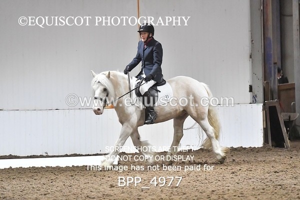 BPP_4977 - INTRO TEST 3