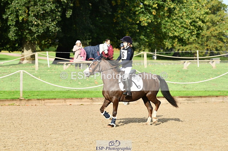 251004A-095227-00274 - Classes 1-2-3 40cm