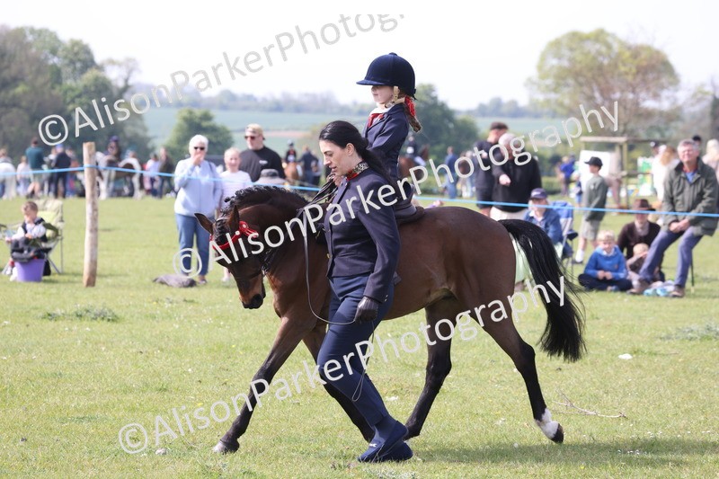 20260426-2582 - Class 31 - Leading Rein