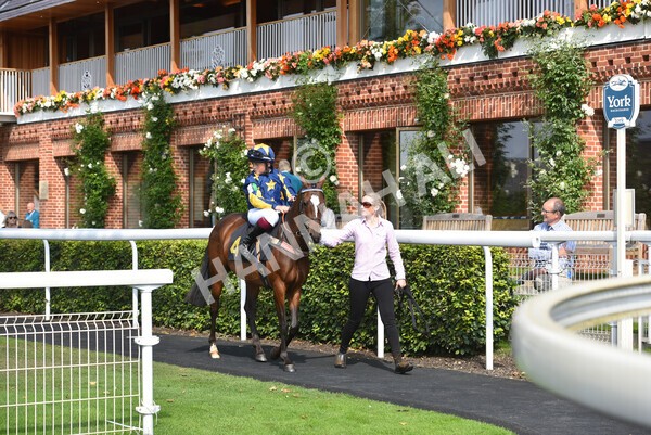 yr05092021rP-67 - Pony Races 138 and 148 cm