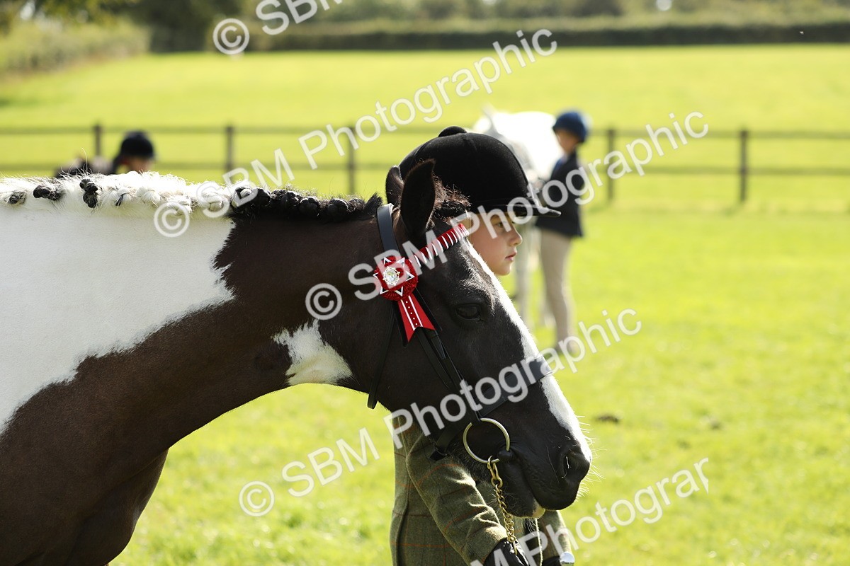 SBM_67792 - S39 - Junior Handler 8  Years & Under