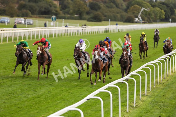 131023-Race 4-Hafeet Alain-9803 - Race 4 3.50pm William Hill Autumn Mile Handicap