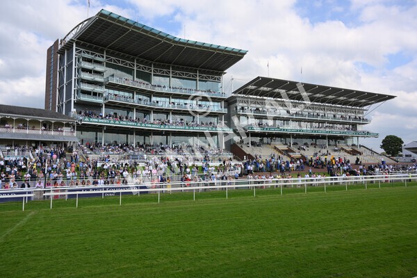 yr09072021r5-38 - Race 5: 4.20pm Garbutt + Elliott Stakes