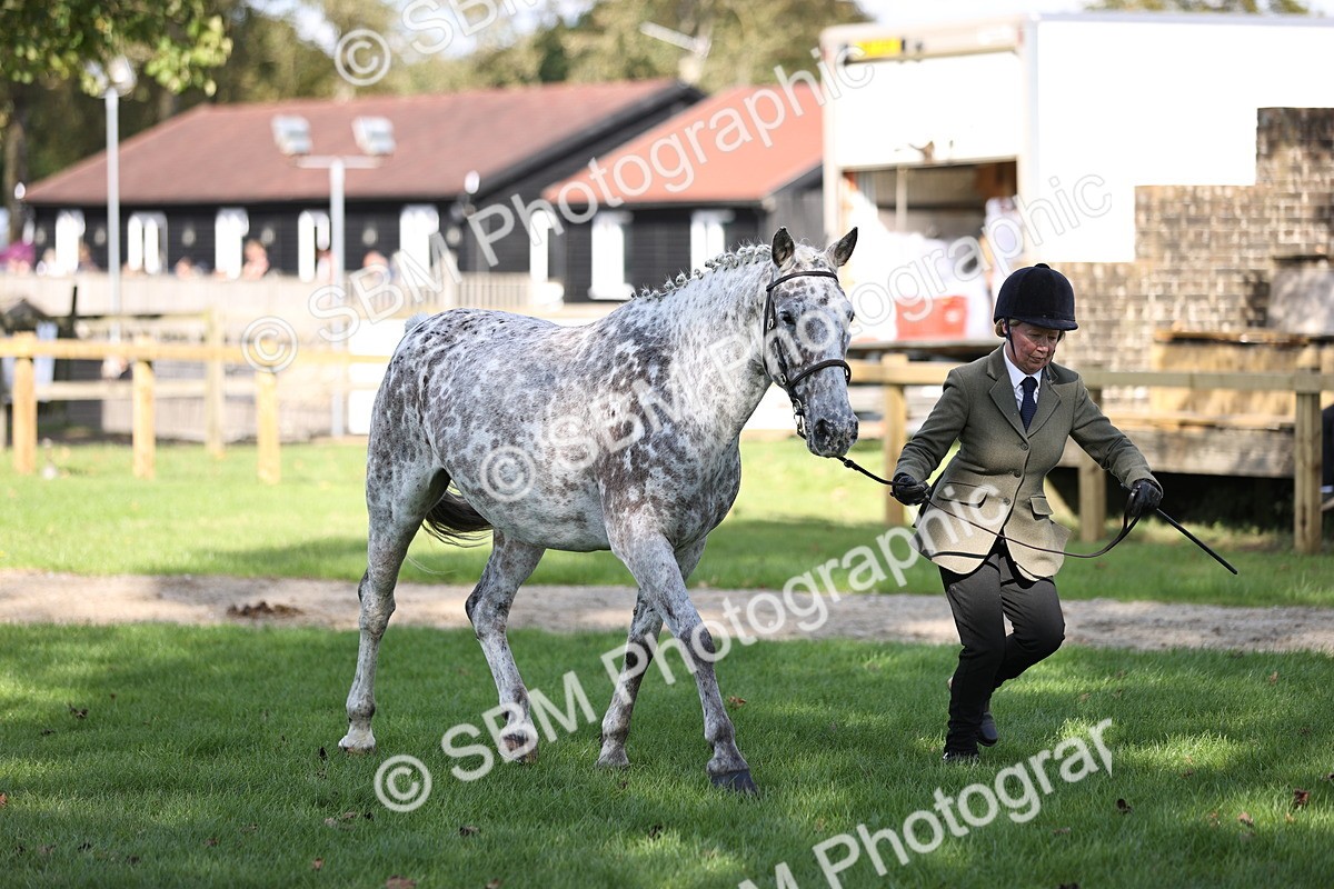 SBM_26239 - S5 - Novice & Newcomers In Hand