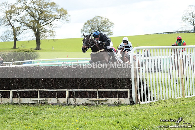 PtP 180426 493 - Worcestershire Hunt PtP Chaddesley Corbett 18/04/26