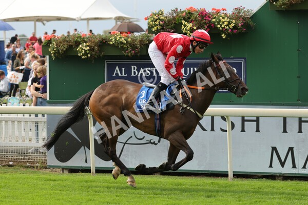 yr04092022p2-40 - 12.50pm. 148cm Open Pony Race