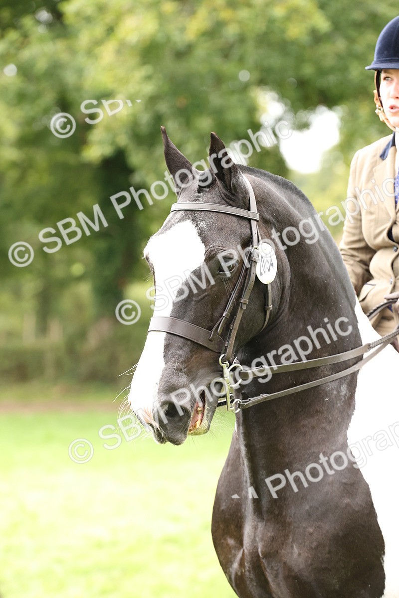 SBM_67285 - S67 - Piebald & Skewbald Horse Ridden