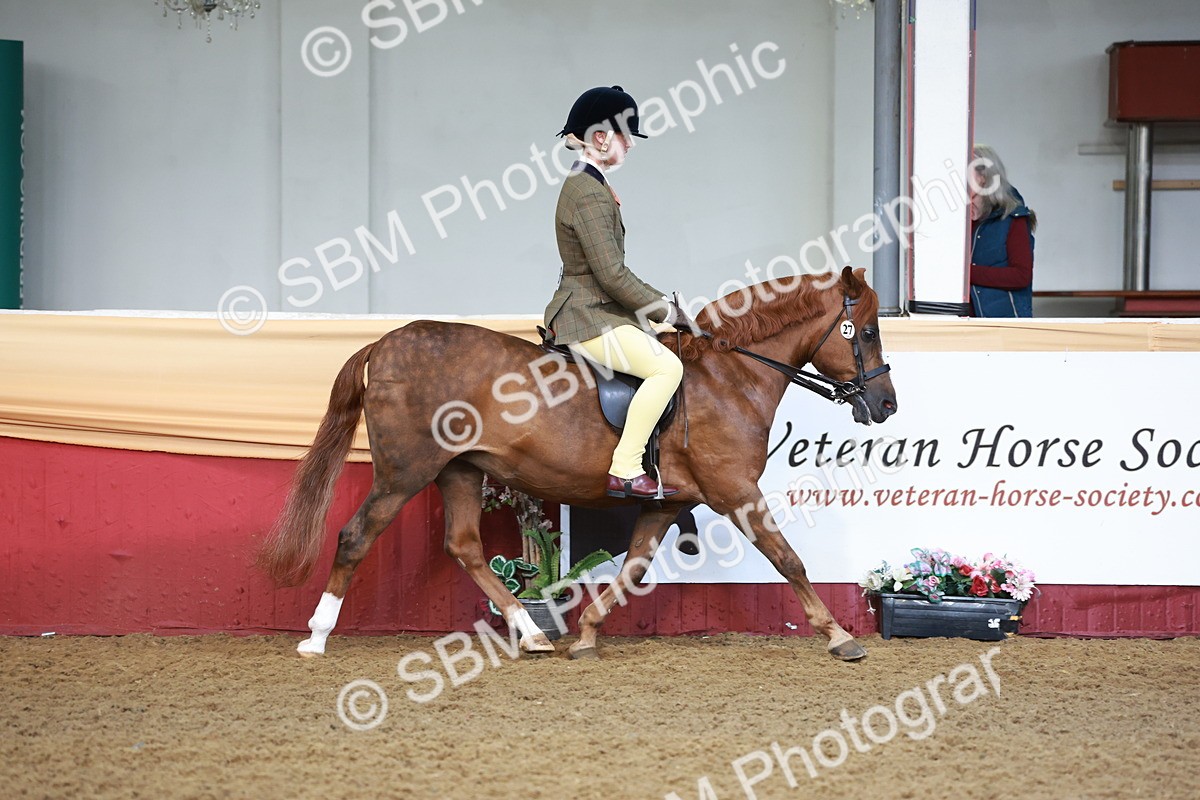 SBM_11804 - Class 102 - Equitation (Best Rider) Adult