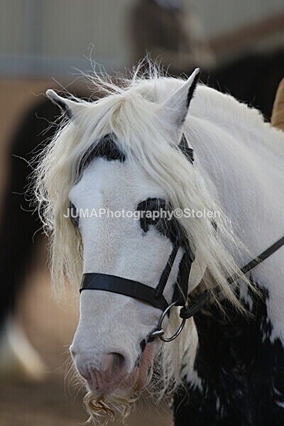 SIAL0905 - Indoor Classes