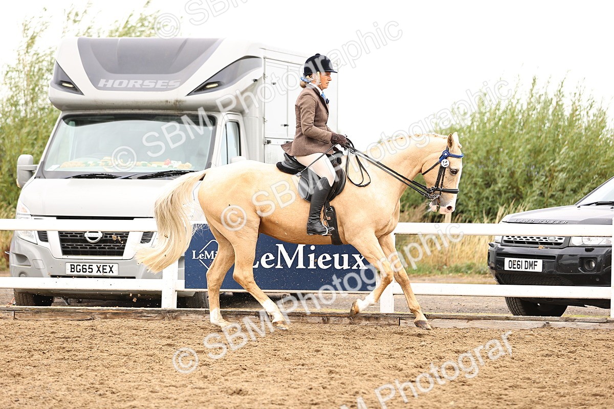 SBM_01352 - Class 54 - Riding Club Horse Pony
