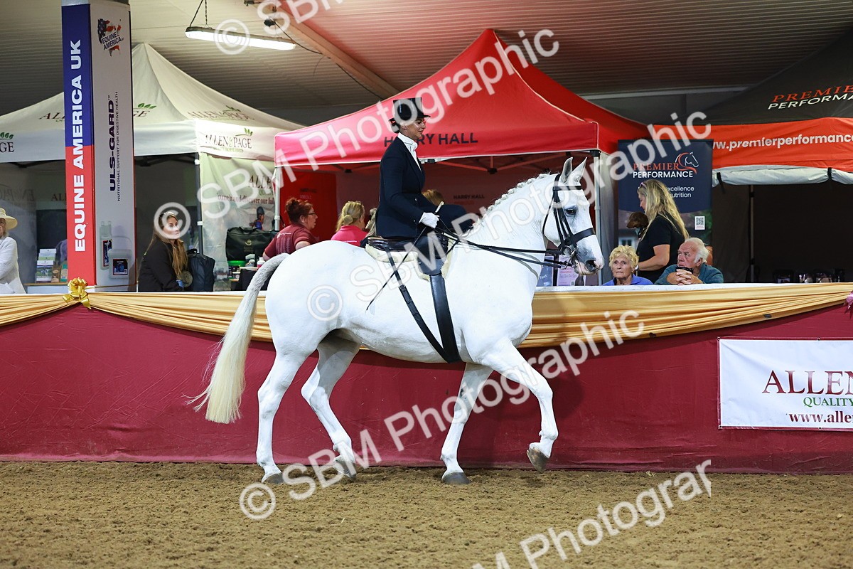 SBM_15027 - Class N - Side Saddle Champ