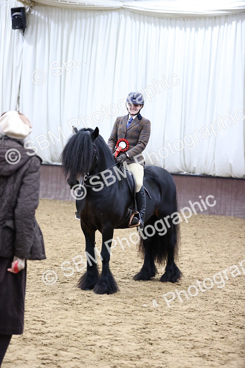 SBM_6555 - Class 43 - Ridden Native Breeds