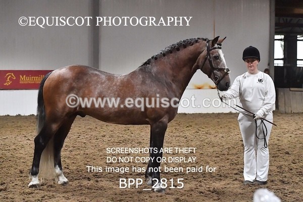 BPP_2815 - LOOSE JUMPING / SPSS