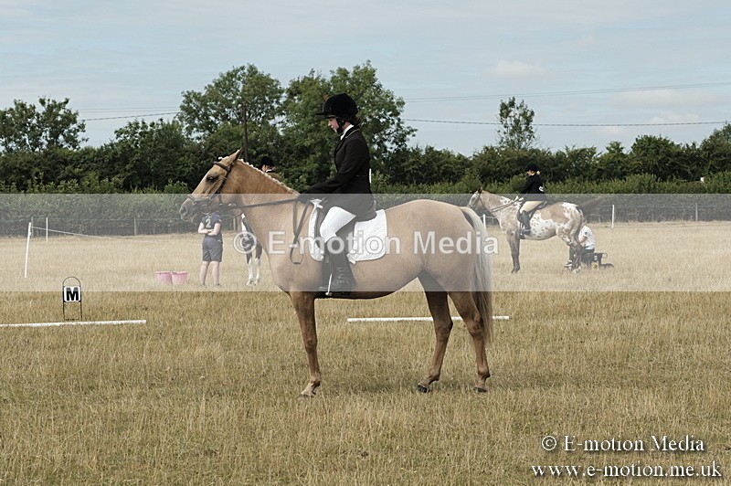 _PJP5740 - Dressage Classes BVRC Show 2018