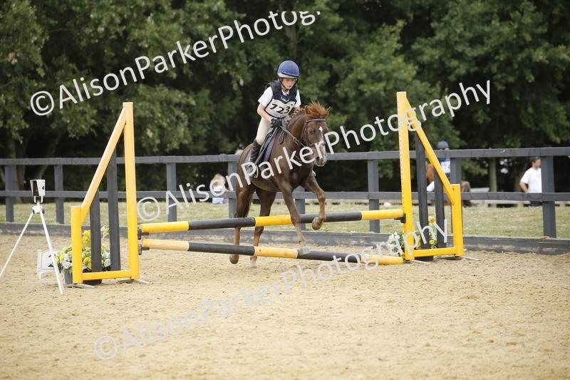 20250622-6042 - 60cm