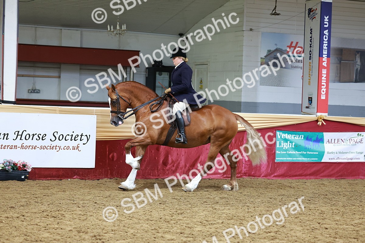 SBM_18593 - Class 952 - M&M Ridden Supreme Final