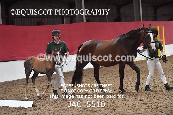 JAC_5510 - 13 Zi Real McCoy