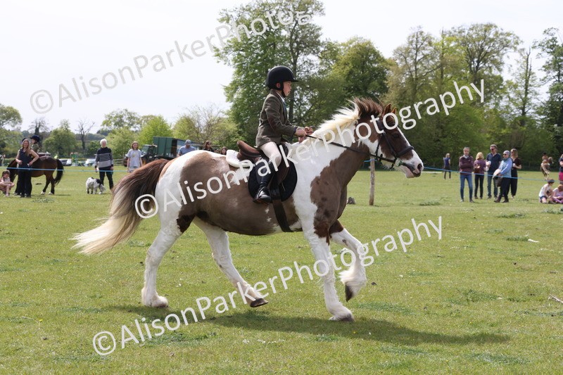 20260426-4411 - Class 34 - Best Riding Horse Over 14.2hh