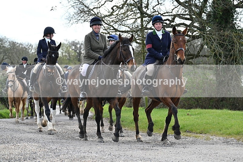 WJ7_9832 - Walk Home