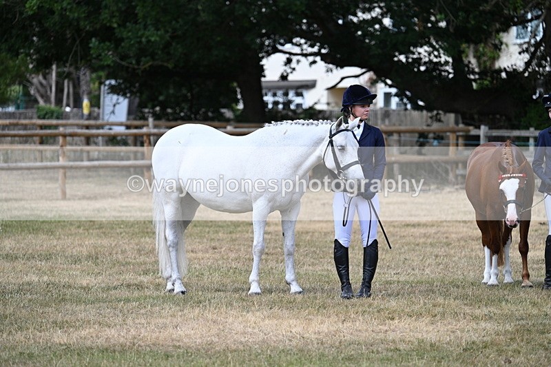 WJ7_1656 - Class 4 Prettiest Mare up to 14.2hh in hand