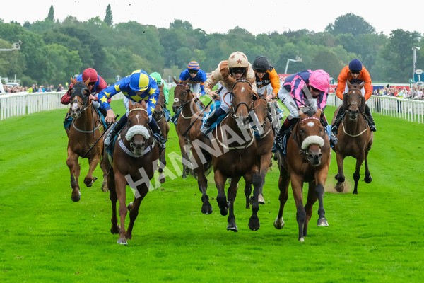 080925-Race 3-Rock N Roll Pinkie-8477 - Race 3 3.30pm Skybet Proud To Support ROR Stayers Handicap