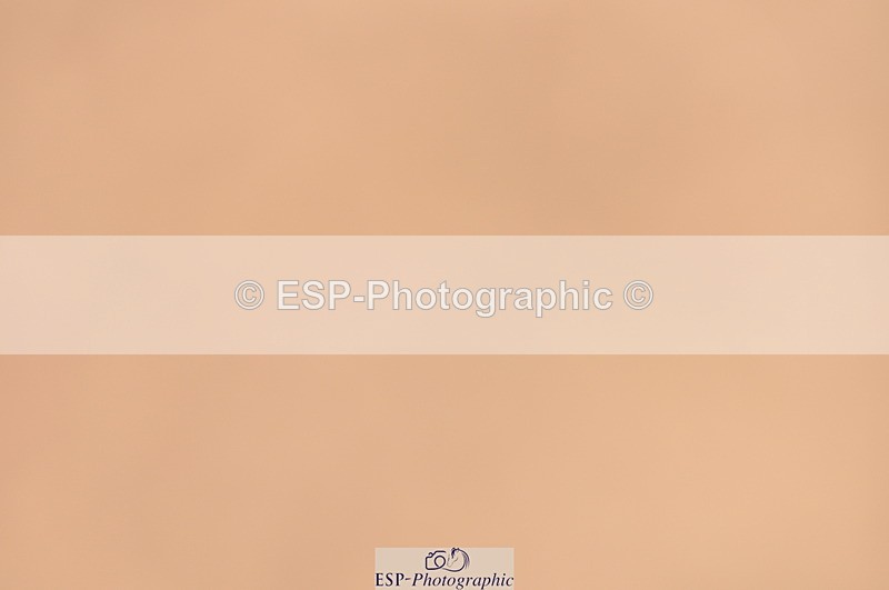 230810A-115506-00973 - Cls 9 Foxhunter