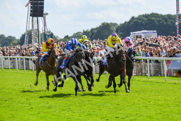 290723-Race 3-Alflaila-0543 - Race 3 3.15pm Sky Bet York Stakes (Group 2)