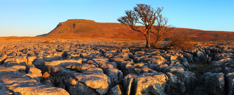 White Scar Limestone pavement with Ingleborough in the distance. - The Pennines and Cumbria